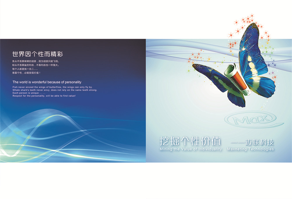 計(jì)算機(jī)科技畫冊設(shè)計(jì),計(jì)算機(jī)科技公司畫冊設(shè)計(jì)