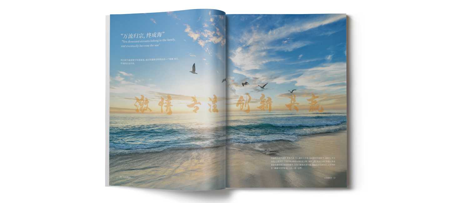 水上樂園畫冊的一些設(shè)計(jì)技巧？