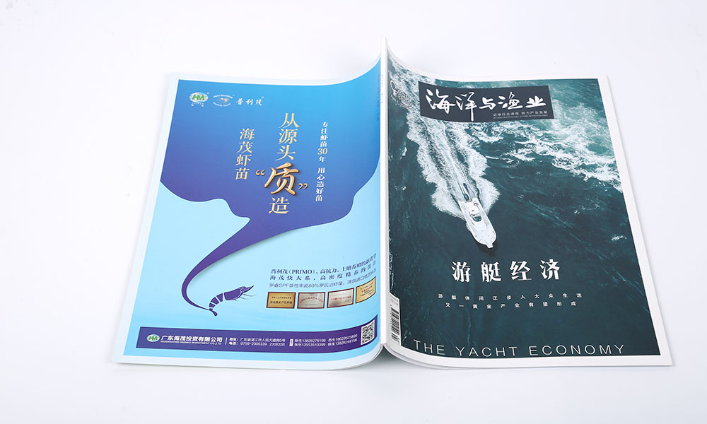 設計畫冊價格比較劃算？
